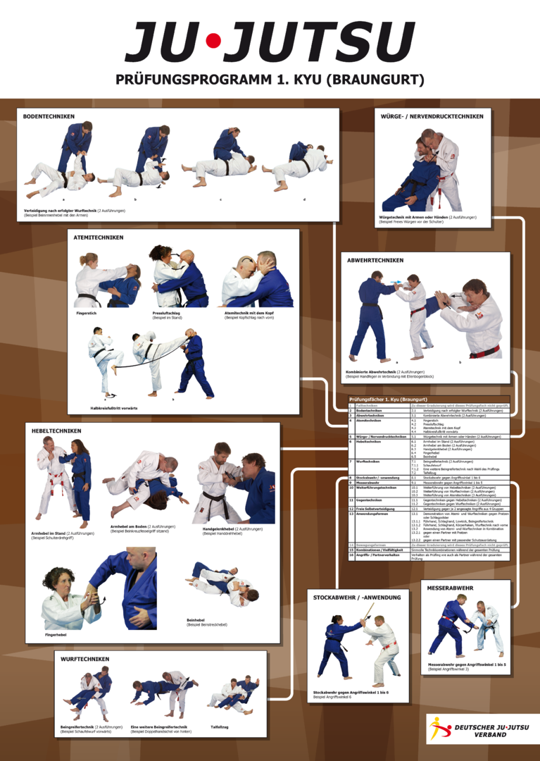 Judo gi, Gurtel, Stockhalte, Hebetechniken, Prüfungsprogramm