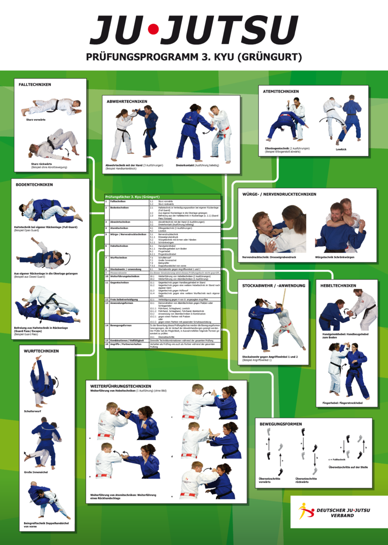 Judo, Ju-Jitsu, Training, Poster, Techniken