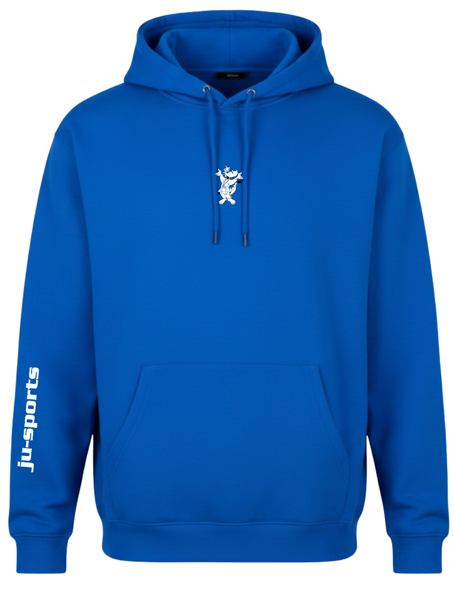 hoodie, pullover, blue, drawstring, pocket